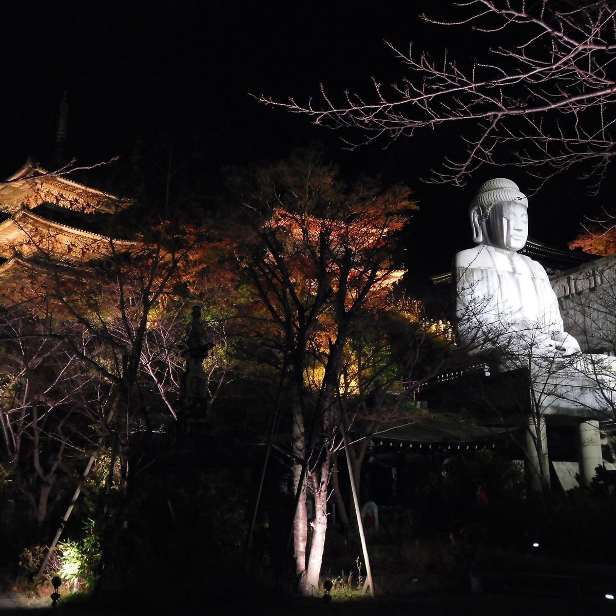 壷阪寺の紅葉ライトアップ