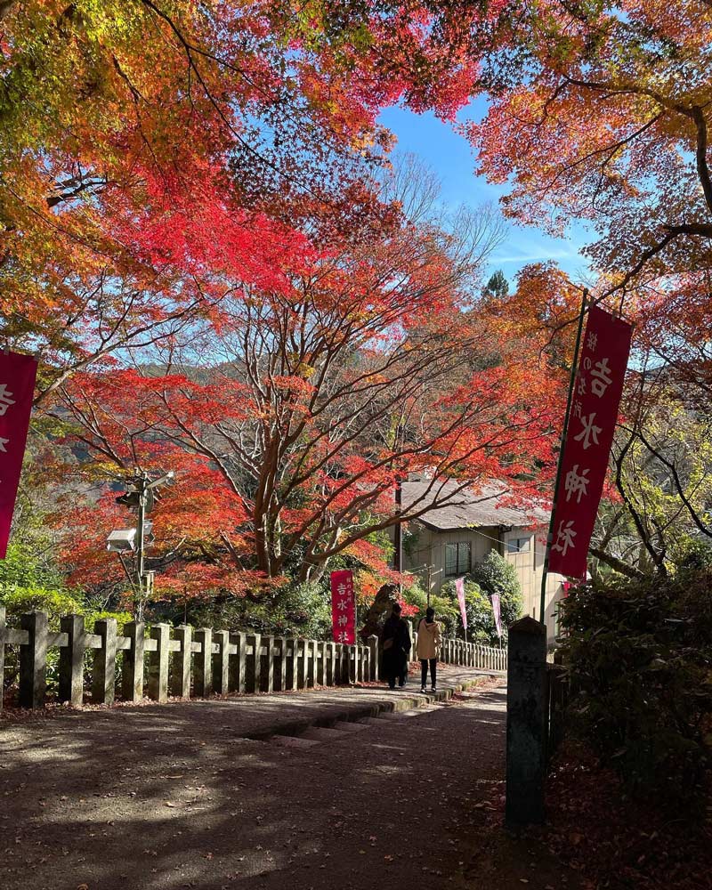 吉水神社の紅葉