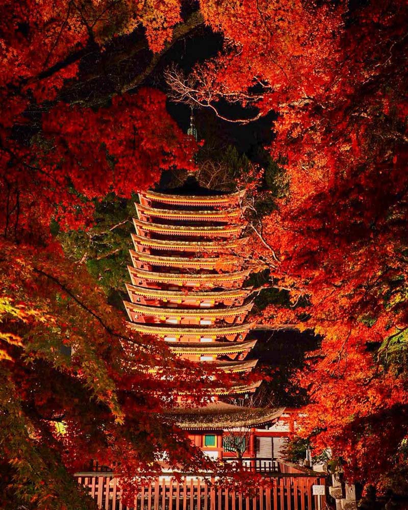 談山神社の紅葉ライトアップ