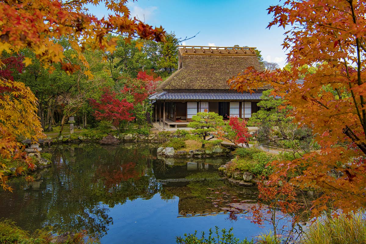 依水園の紅葉