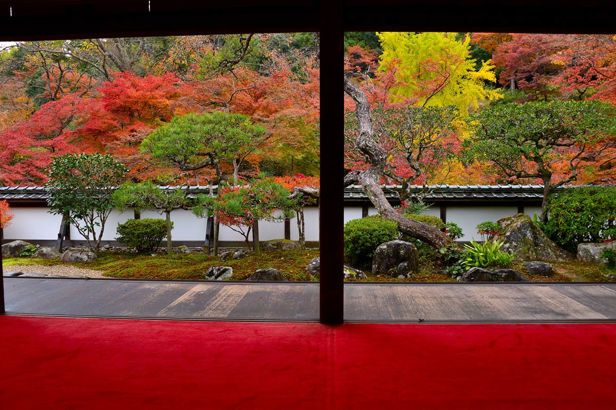 正暦寺の紅葉