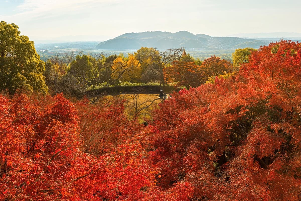 築100年の名建築が紅葉に染まる！京都・大山崎山荘美術館で味わう芸術の秋