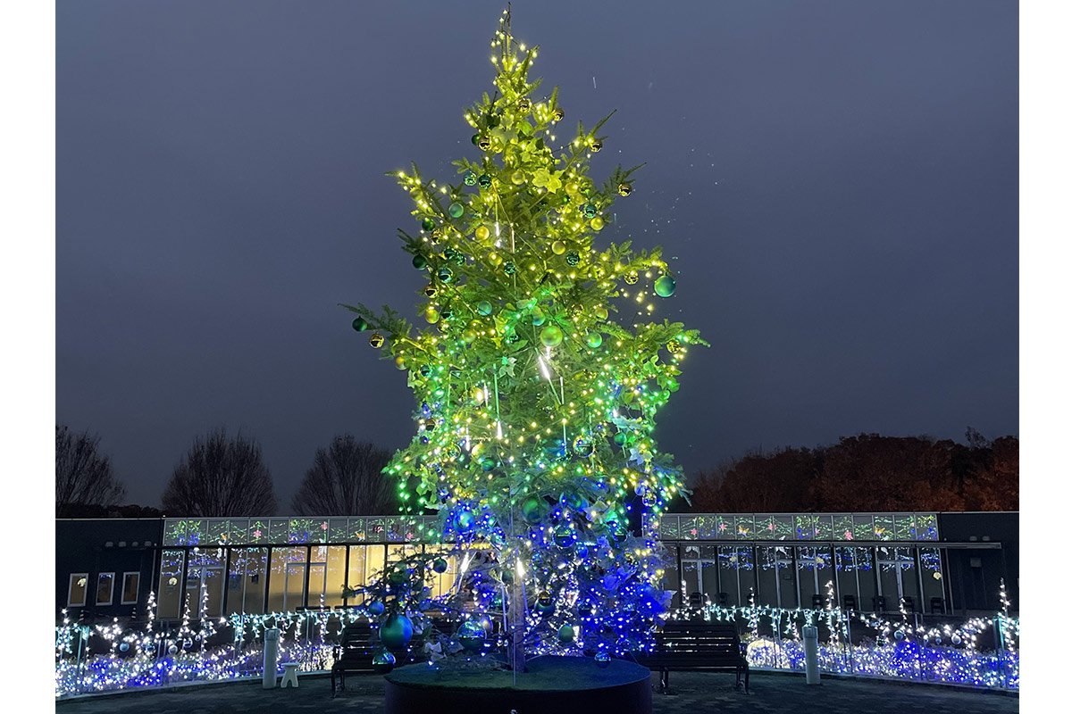 【2025年】奈良イルミネーション7選！冬の人気スポット＆穴場も