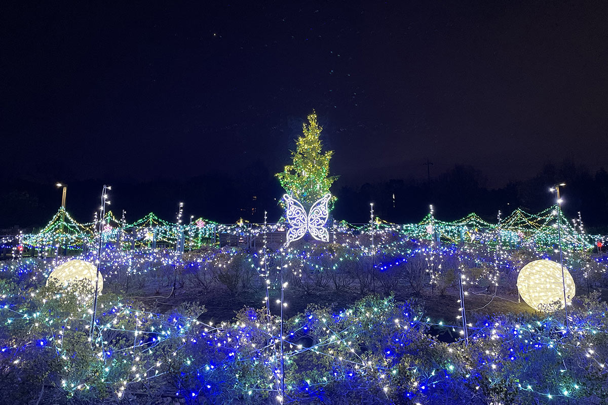 やまと花ごよみきらめきマルシェイン馬見クリスマス
