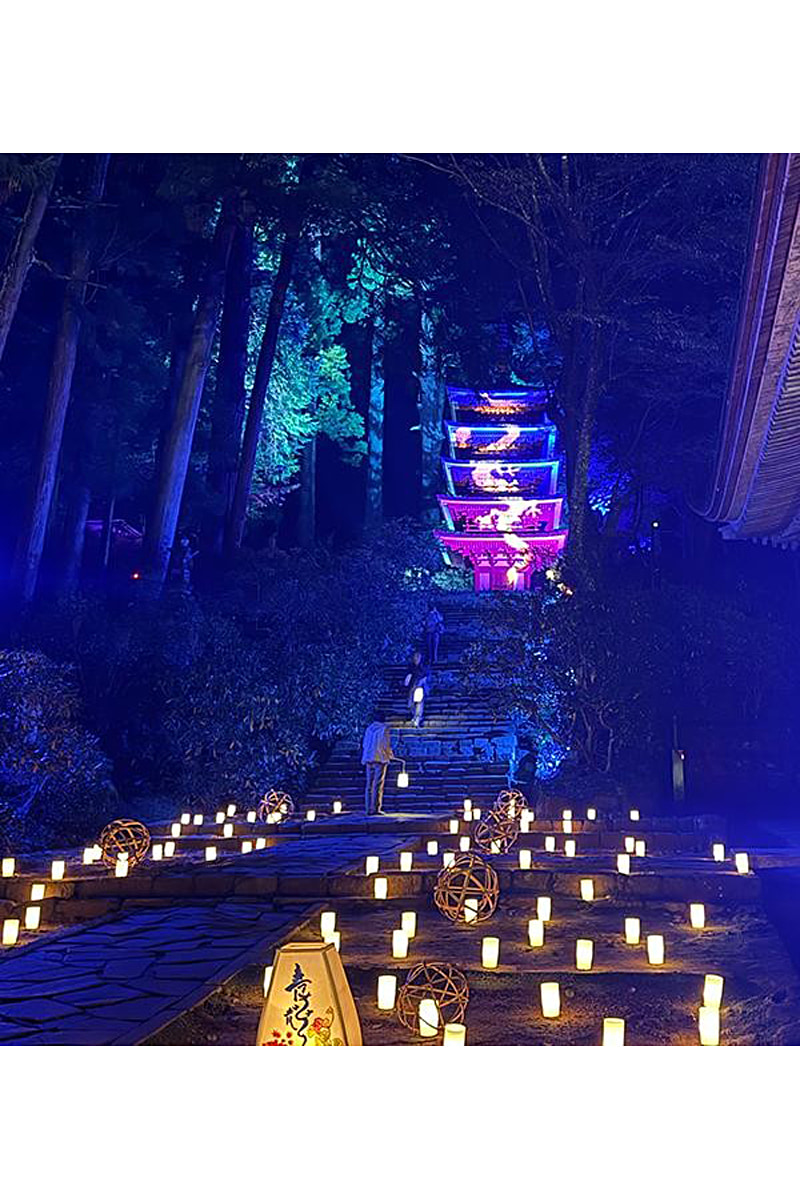 紅葉ライトアップ五重塔