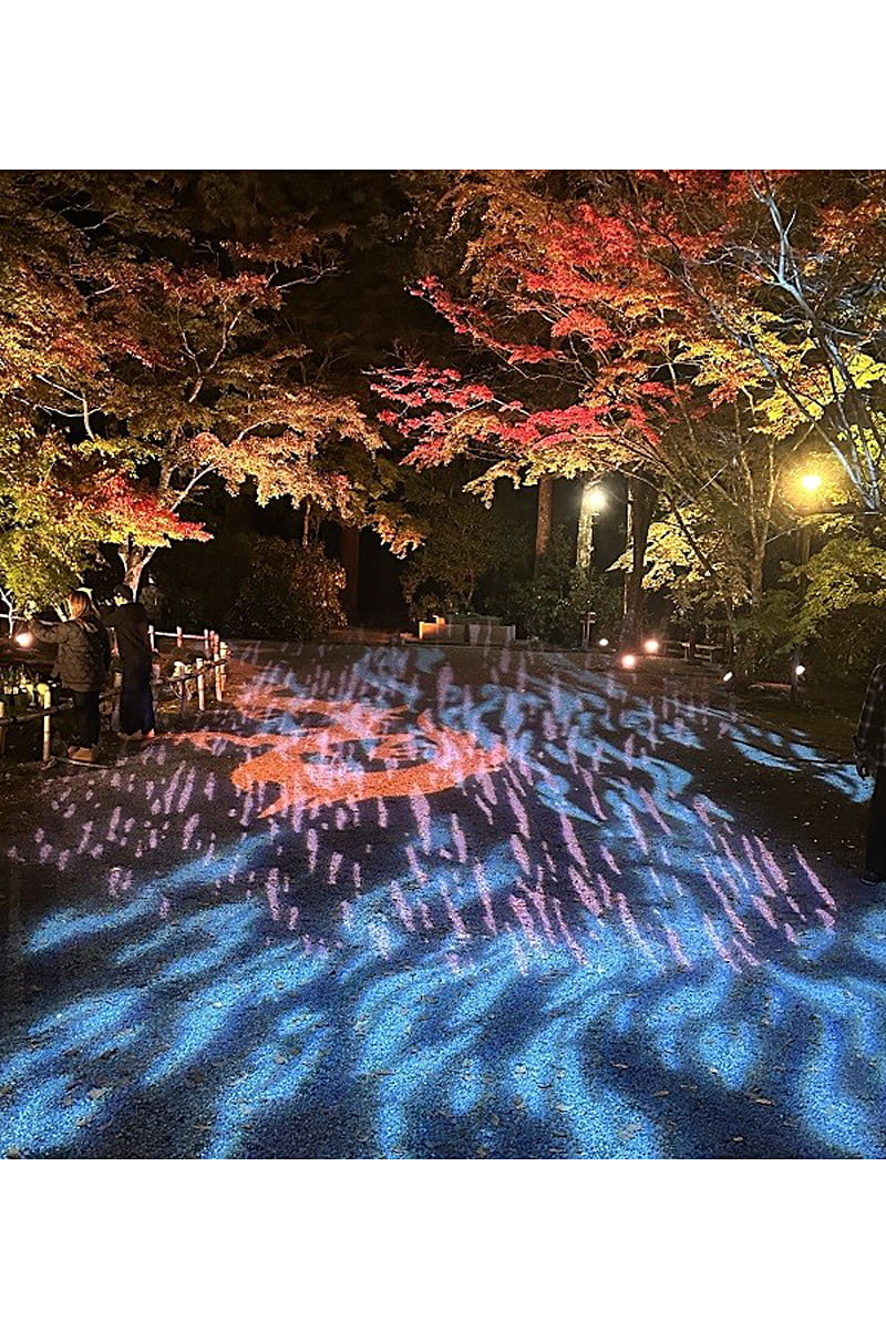 バンジ池前のライトアップ