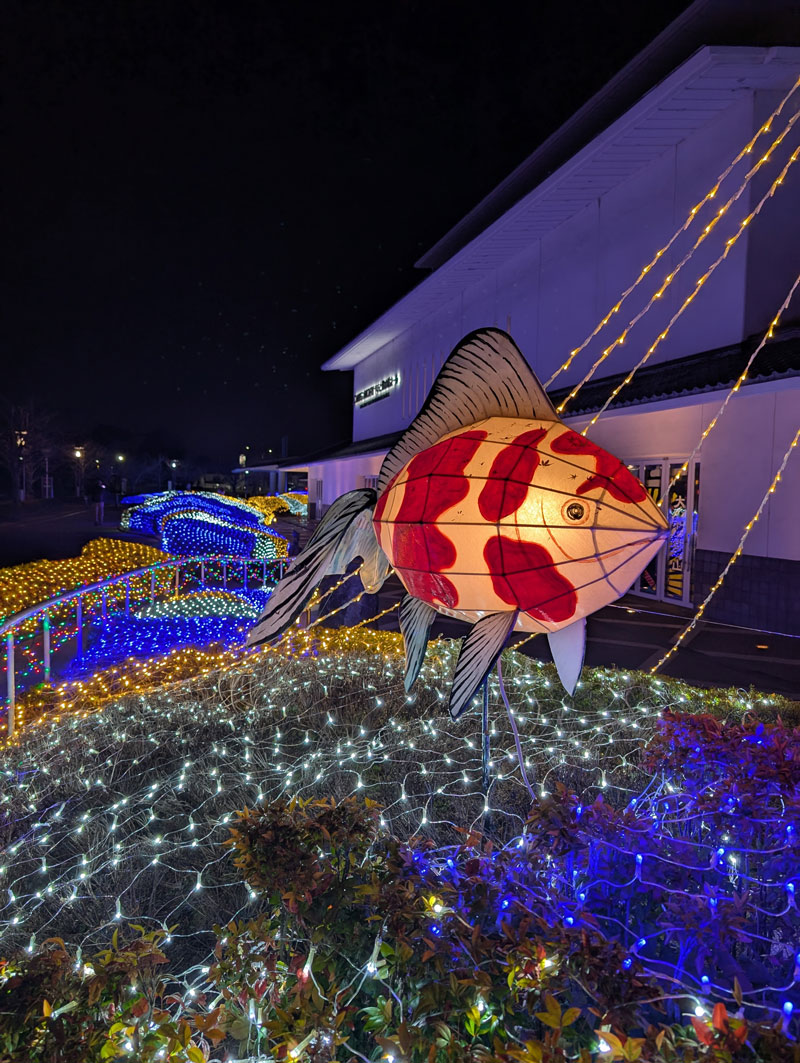 大和郡山イルミネーションの金魚