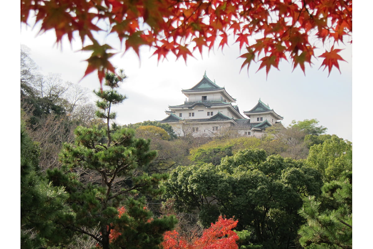 和歌山城と紅葉