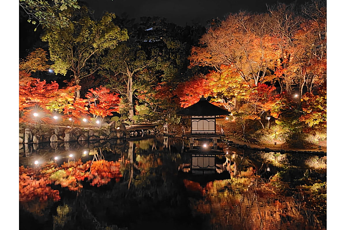 和歌山城で“逆さもみじ”が見頃に！夜の紅葉ライトアップが幻想的