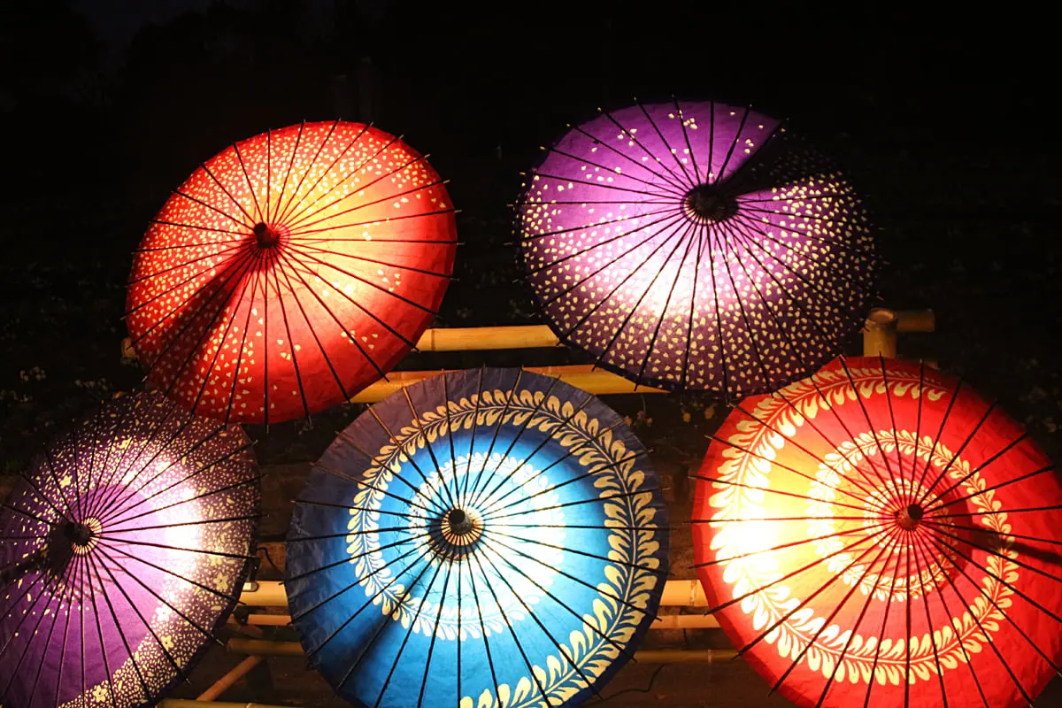 幻想的な竹灯り×和傘！大阪府立花の文化園で紅葉ライトアップ開催