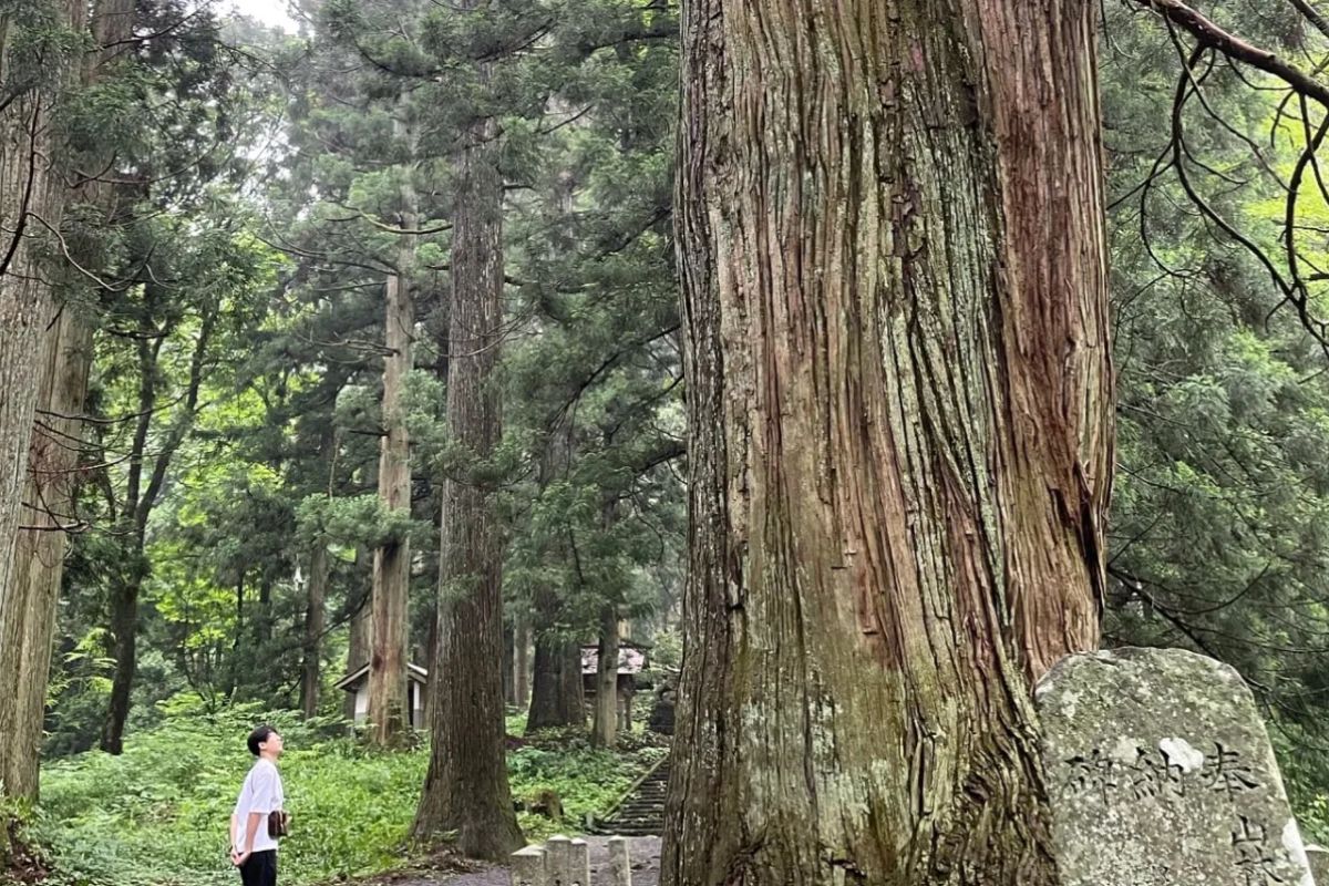 広島県のパワースポット比婆山