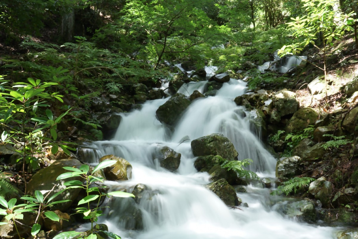 愛媛県のパワースポット滑床渓谷