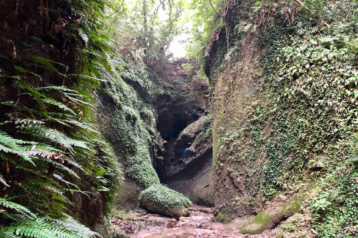 高知県のパワースポット伊尾木洞