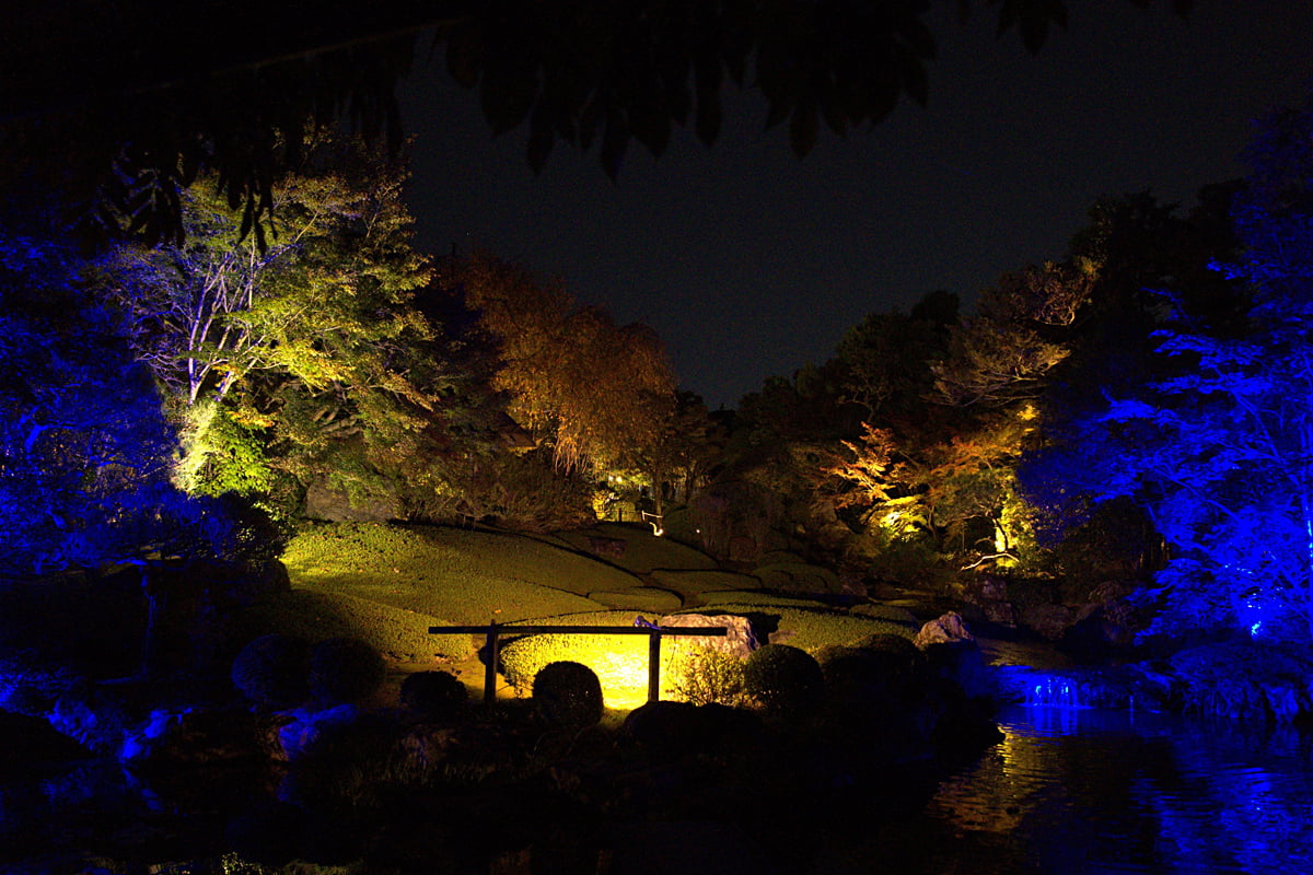 妙心寺退蔵院のライトアップ