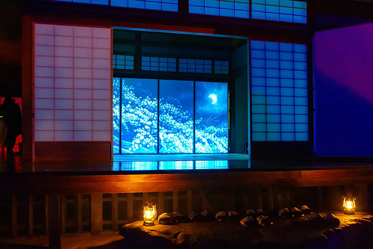 京都・妙心寺で光のアート体験！幻想的な庭園ライトアップと共演