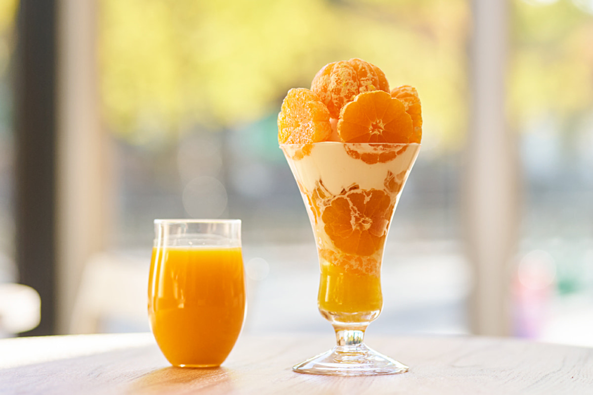 和歌山城前に新カフェ「みかんの木」誕生！有田みかんパフェや贅沢バーガーも