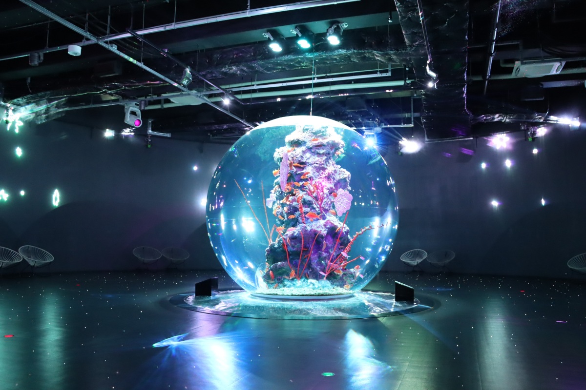 神戸アトアの球体水槽