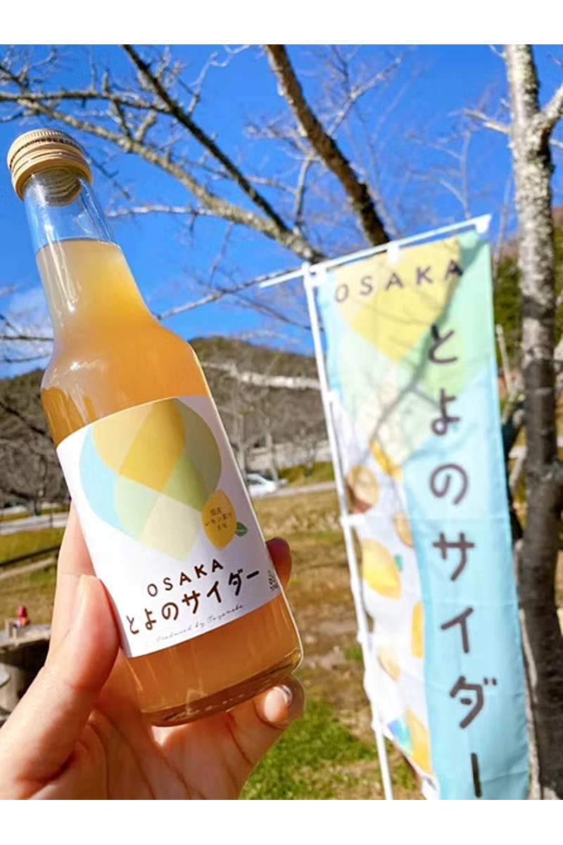 とよのサイダー