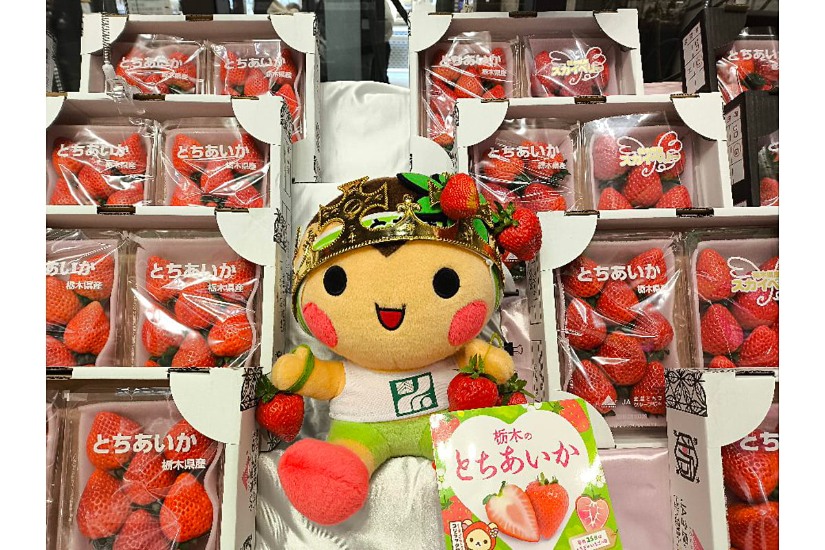 とちあいかとスカイベリーの生パック