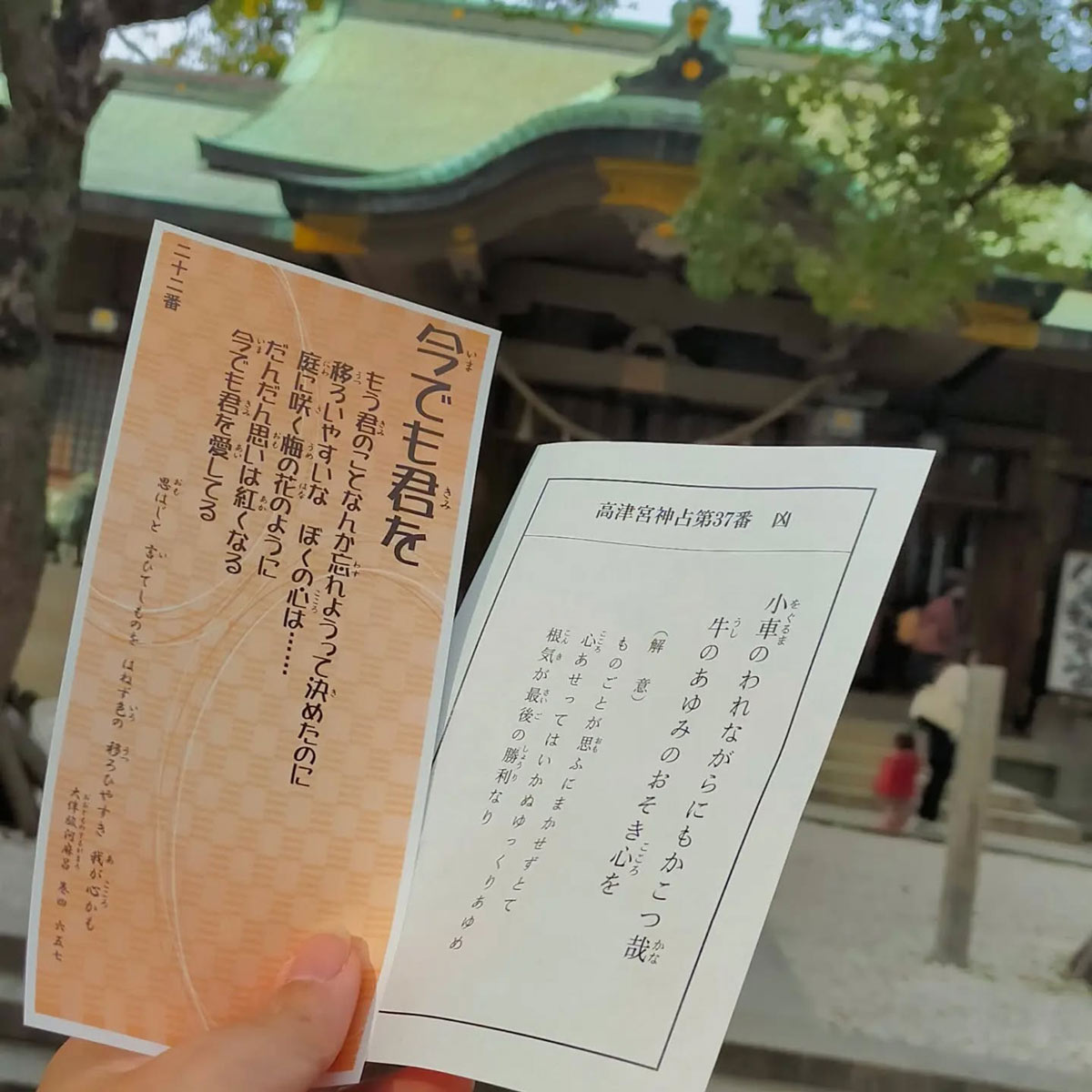 高津宮のおみくじ