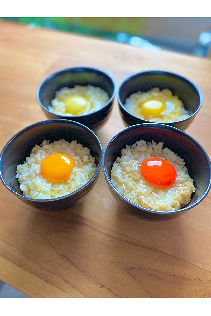 様々なたまごかけごはん