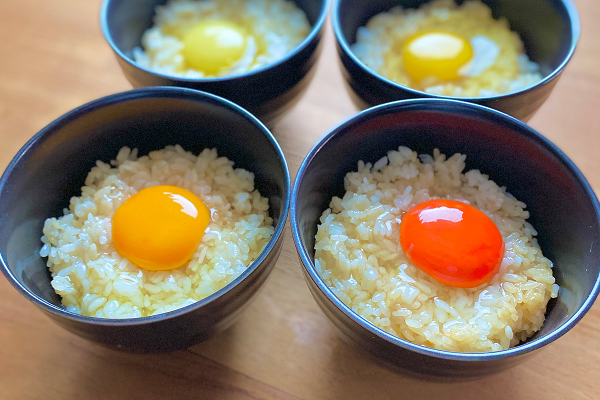 高級ブランド卵を食べ比べ！日替わり100種「幻の卵屋さん」大阪開催