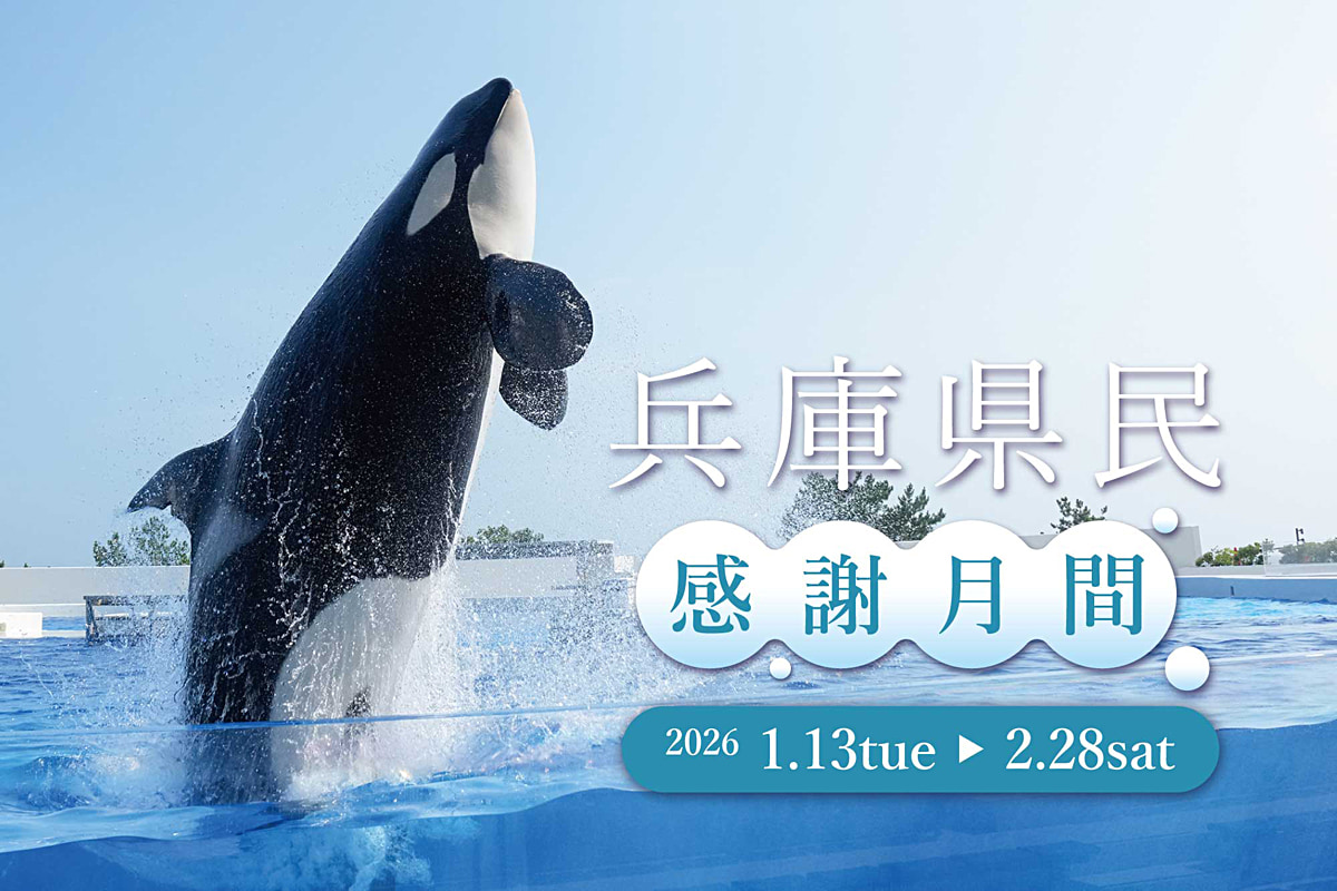 神戸須磨シーワールドの兵庫県民感謝月間