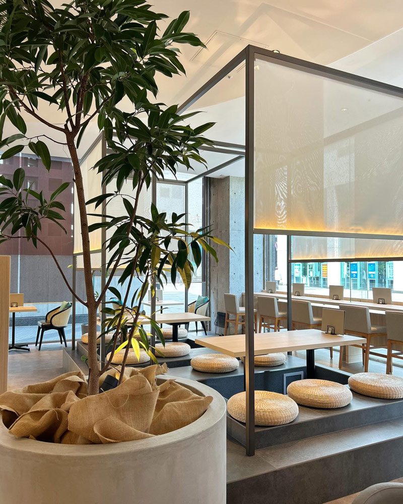 キノカフェの店内