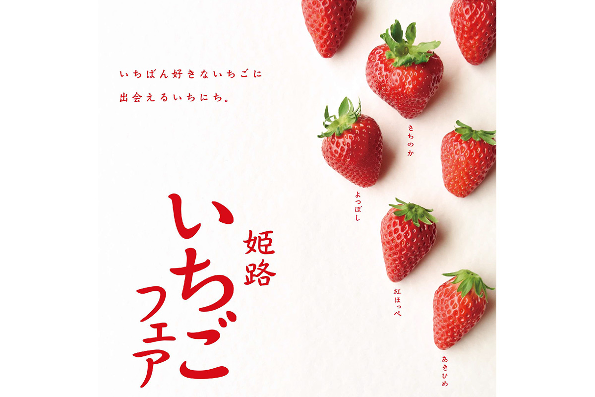 無料試食も！多彩な品種の地元産いちごが集まる「姫路いちごフェア」開催