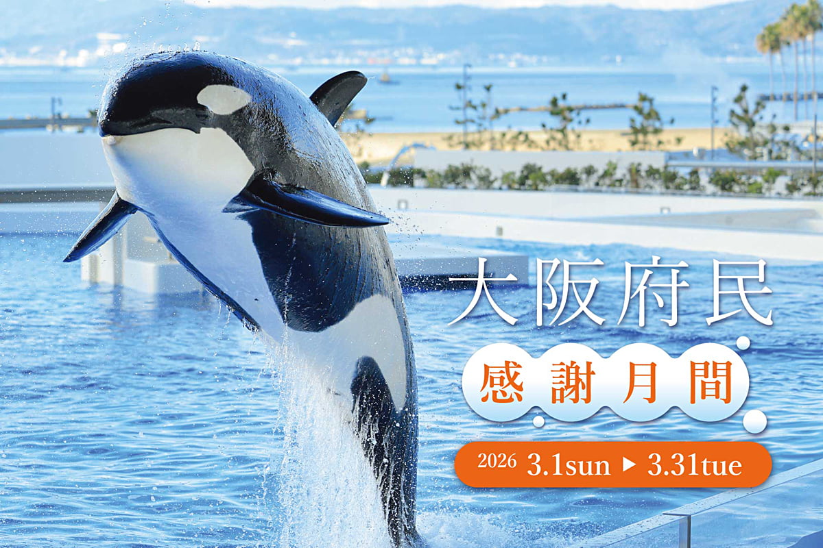 大阪府民限定で特別料金！「神戸須磨シーワールド」感謝月間が3月スタート