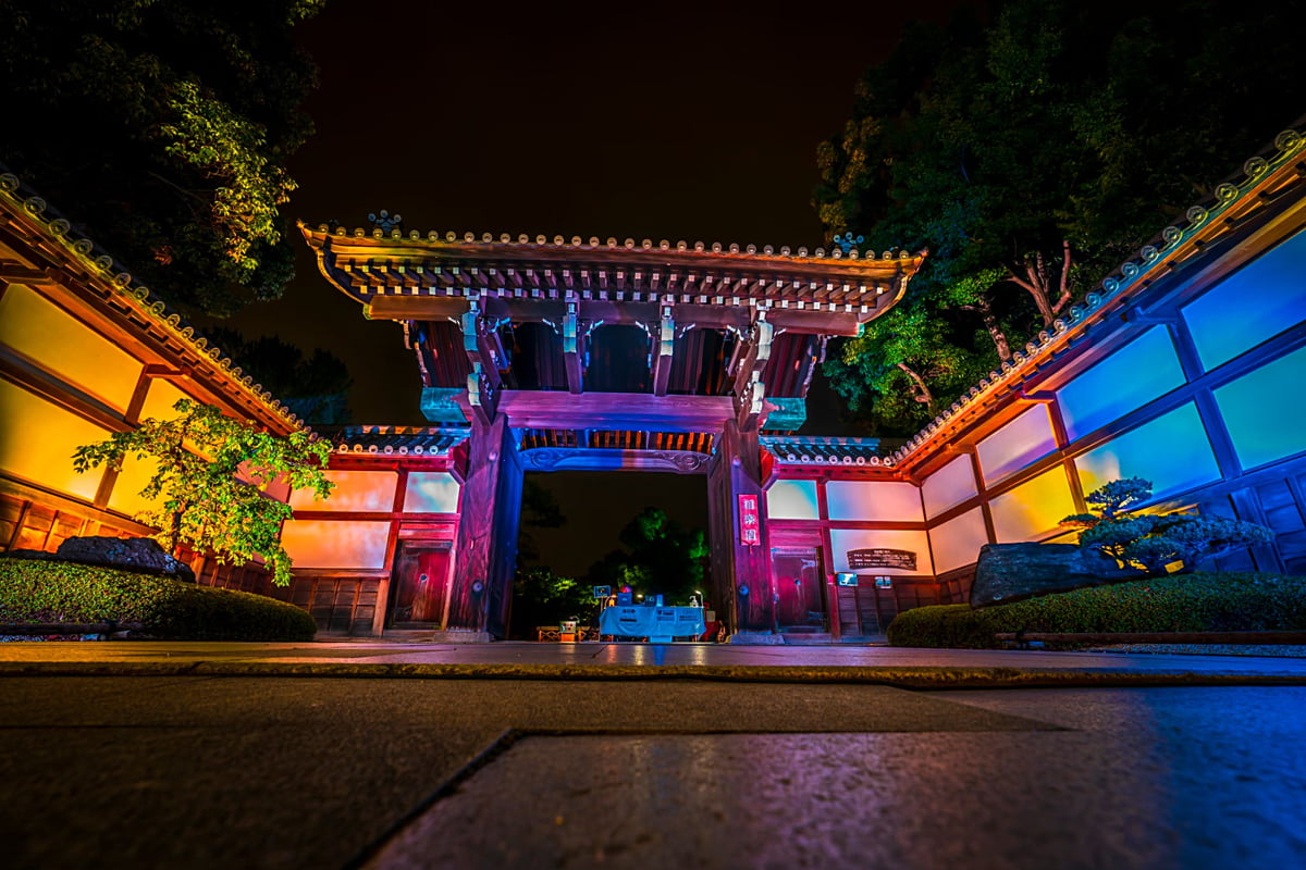 夜の道明寺天満宮が別世界に！大阪・藤井寺「カルチャーナイト」3月開催