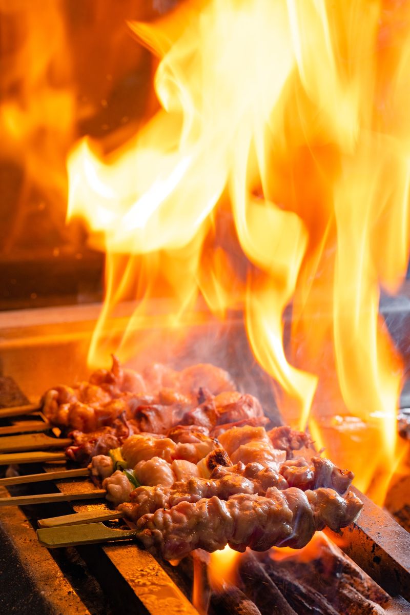 炭火焼き鳥とり五楼の焼鳥