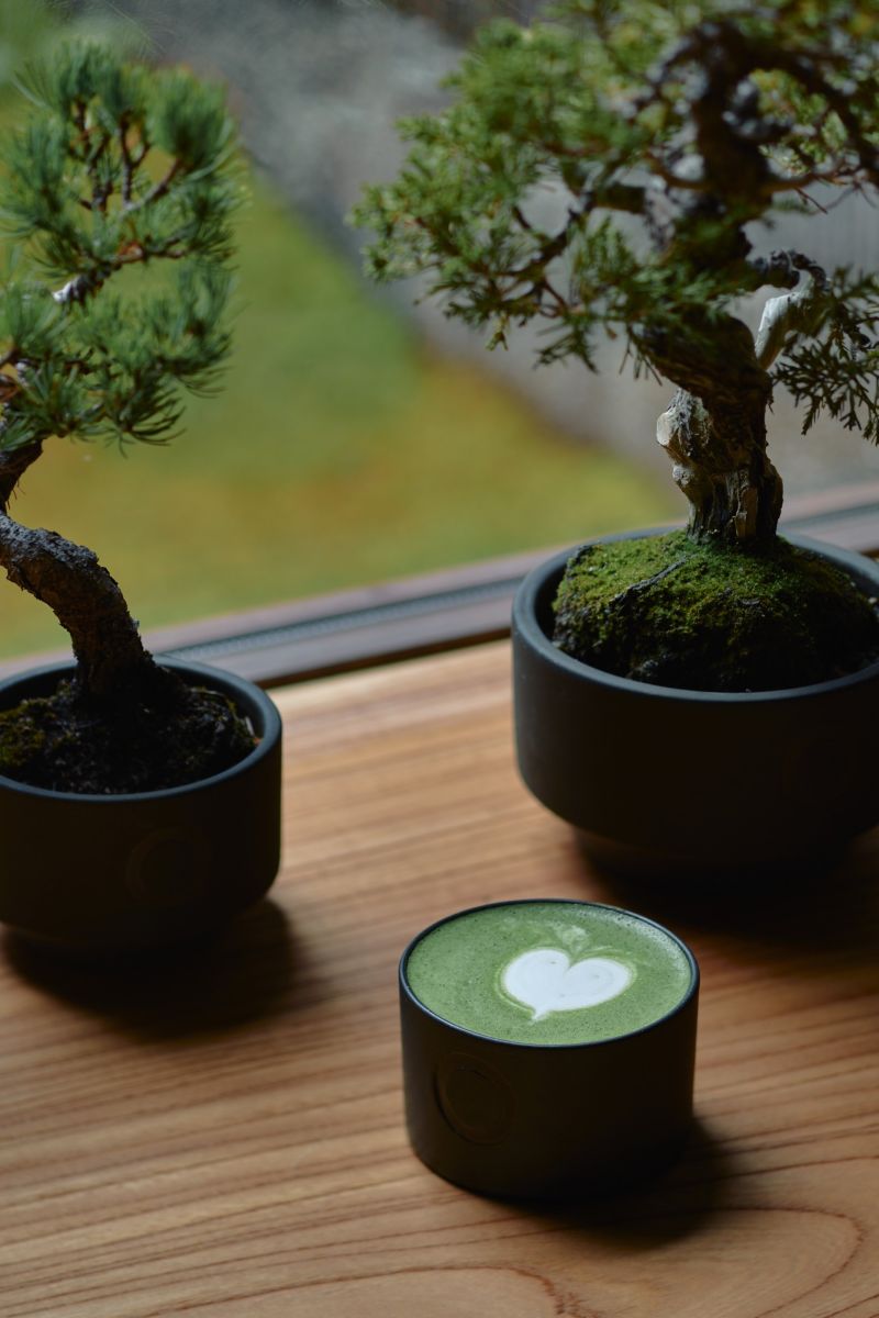 藝術喫茶いとゆふのメニューと盆栽