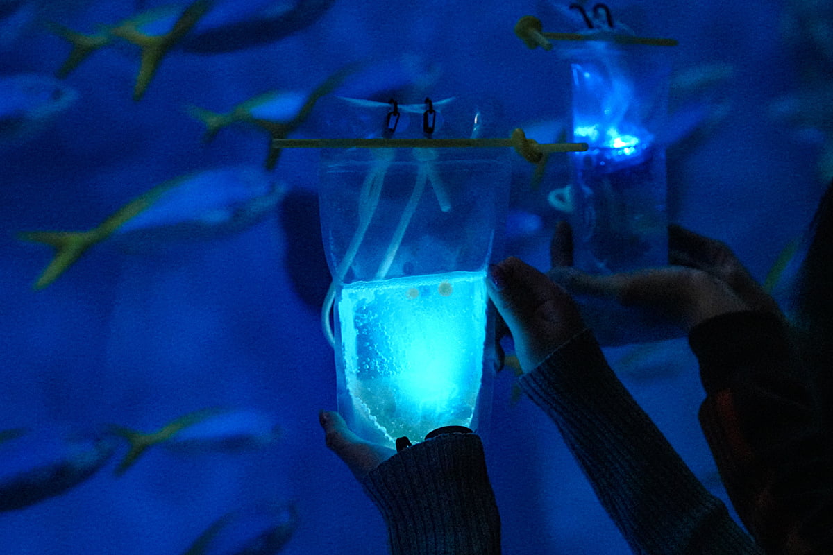 コーラルシャイングリーン