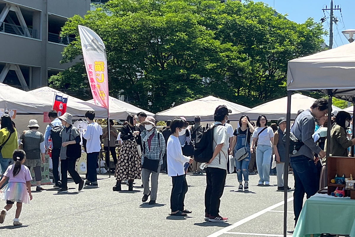 屋外でのいきものフェスタの様子