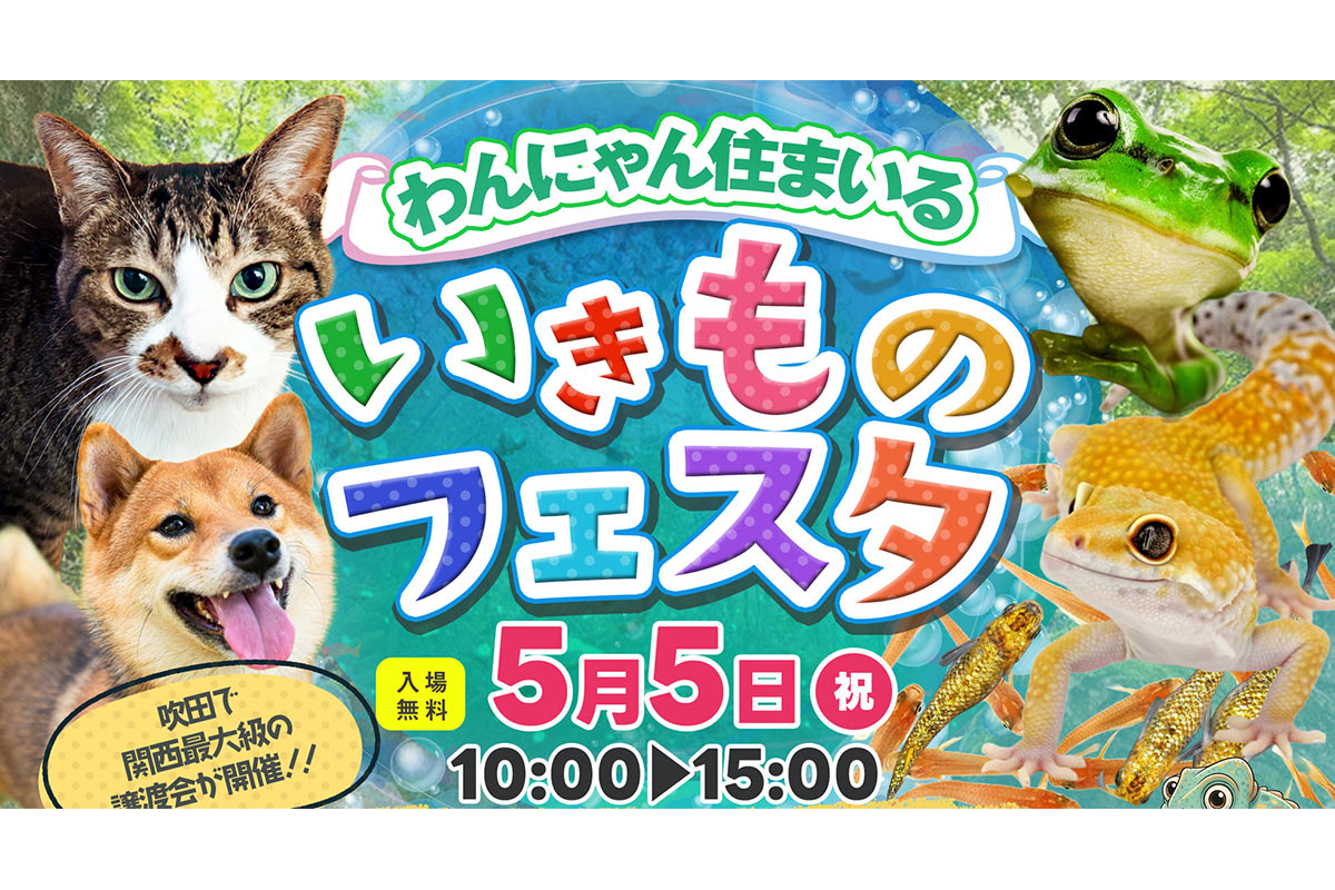 新しい家族を待つ約250匹の保護犬・保護猫たち。吹田で関西最大級の譲渡会