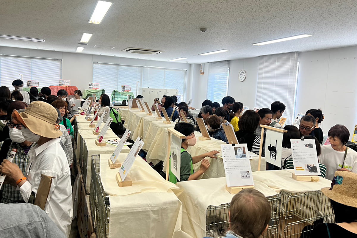 譲渡会の会場の様子