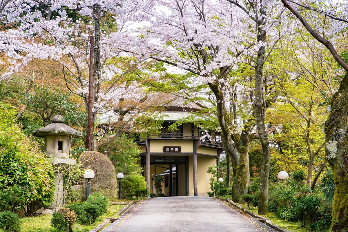 奈良の料亭「百楽荘」で桜咲く庭園を特別公開！限定御膳も予約販売