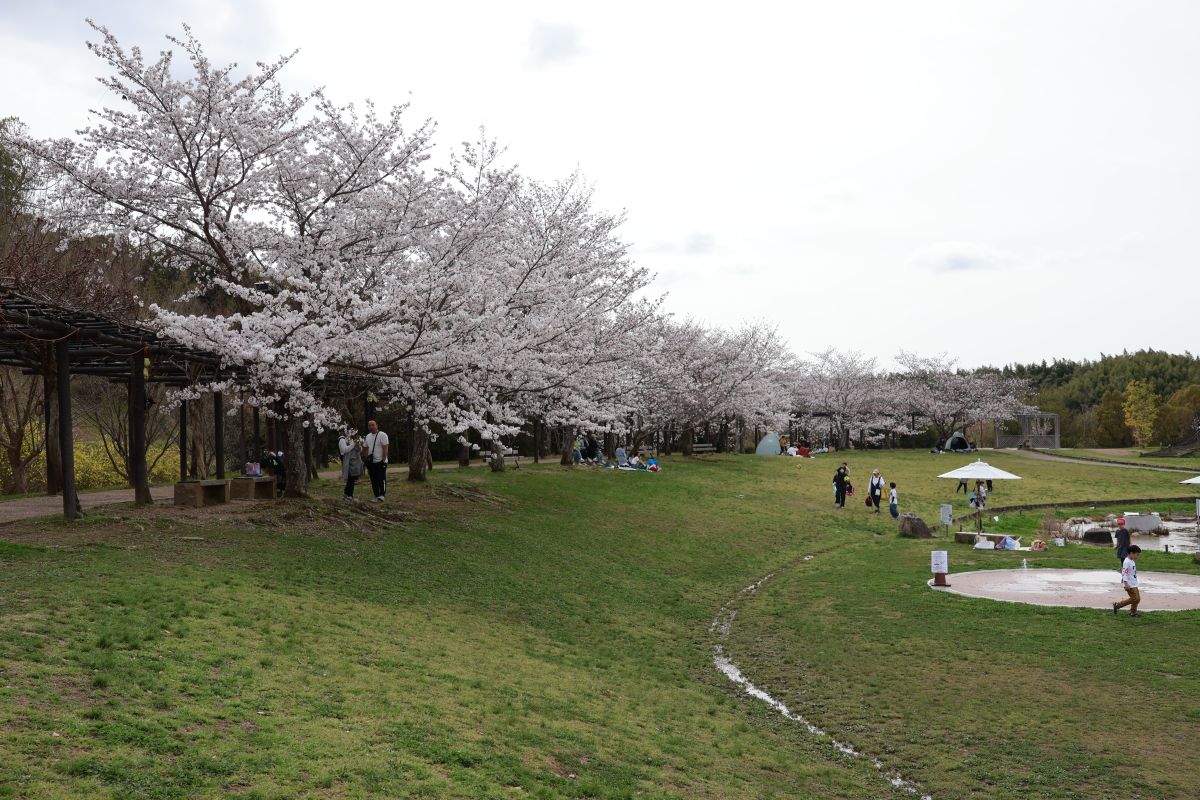 道の駅四季の郷公園