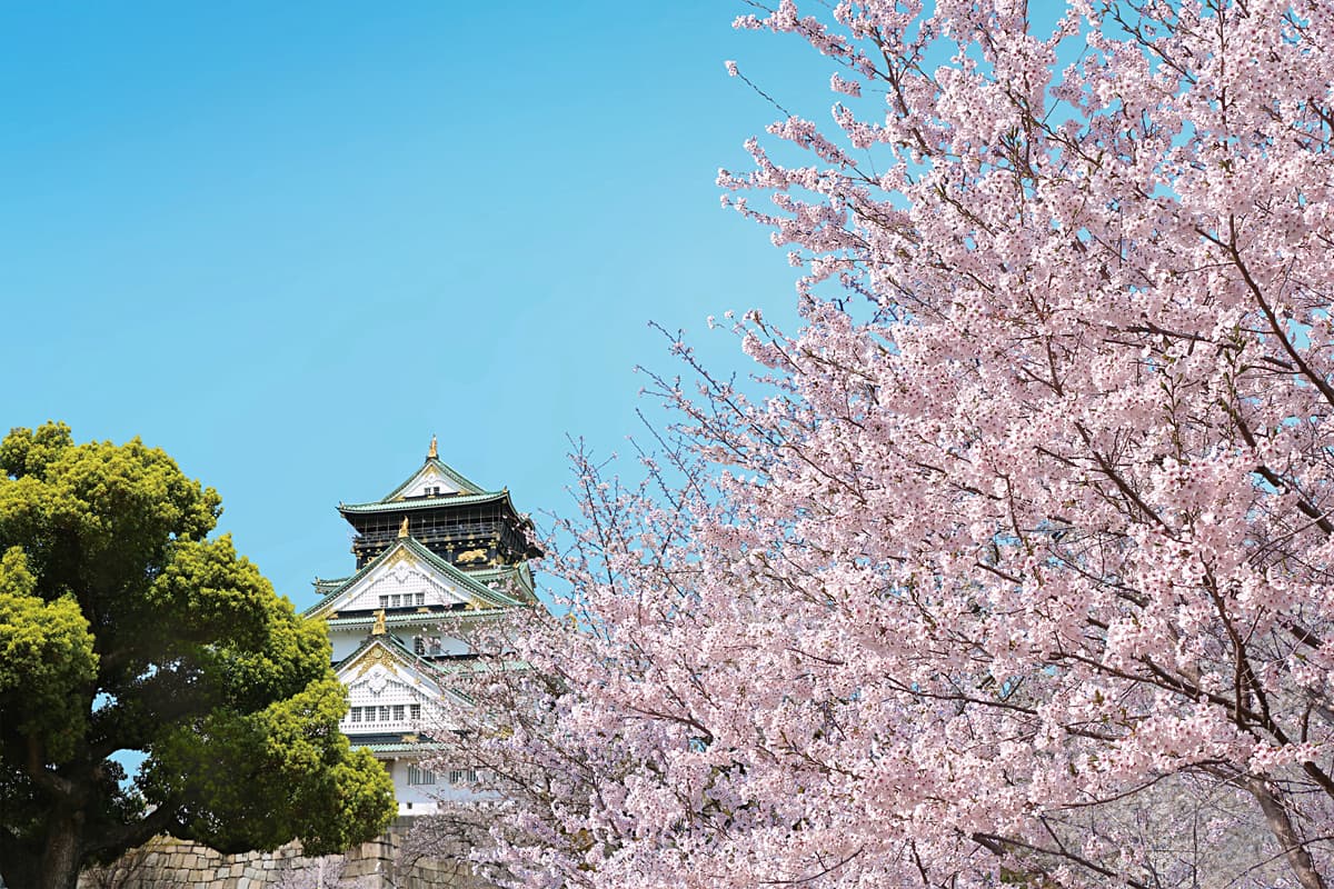 大阪城で夜桜ライトアップ！「大阪城春まつり2026」豊臣兄弟の展示も