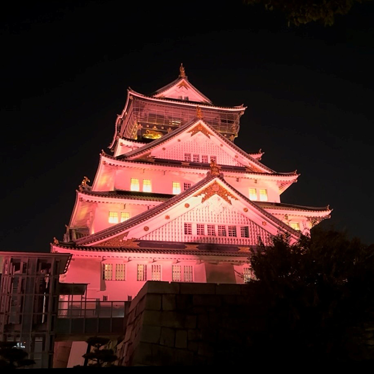 桜色にライトアップされた天守閣
