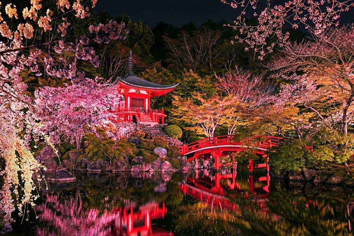 京都・醍醐寺で夜桜ライトアップ開催！NAKEDの幻想アートと春限定コラボ