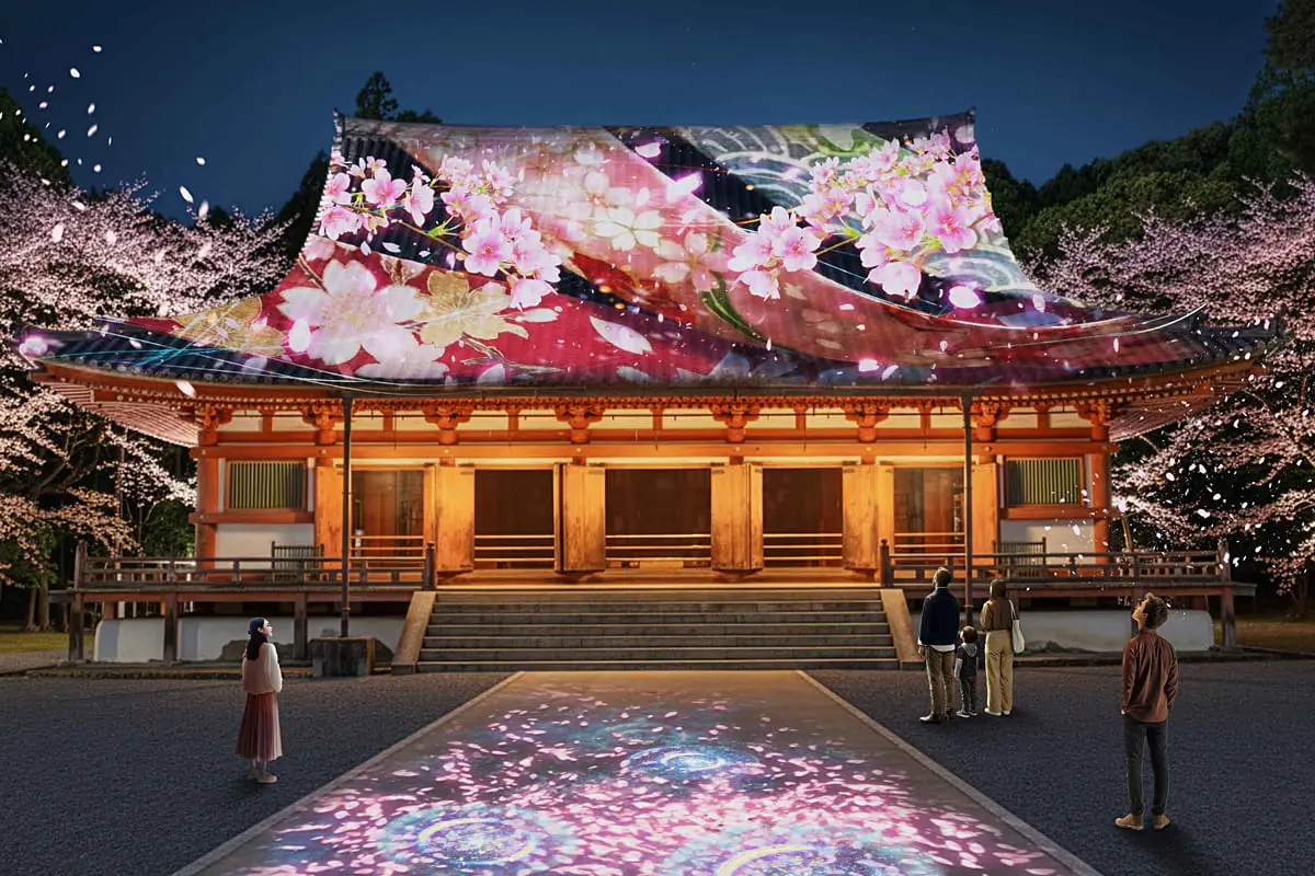 京都・醍醐寺で夜桜ライトアップ開催！NAKEDの幻想アートと春限定