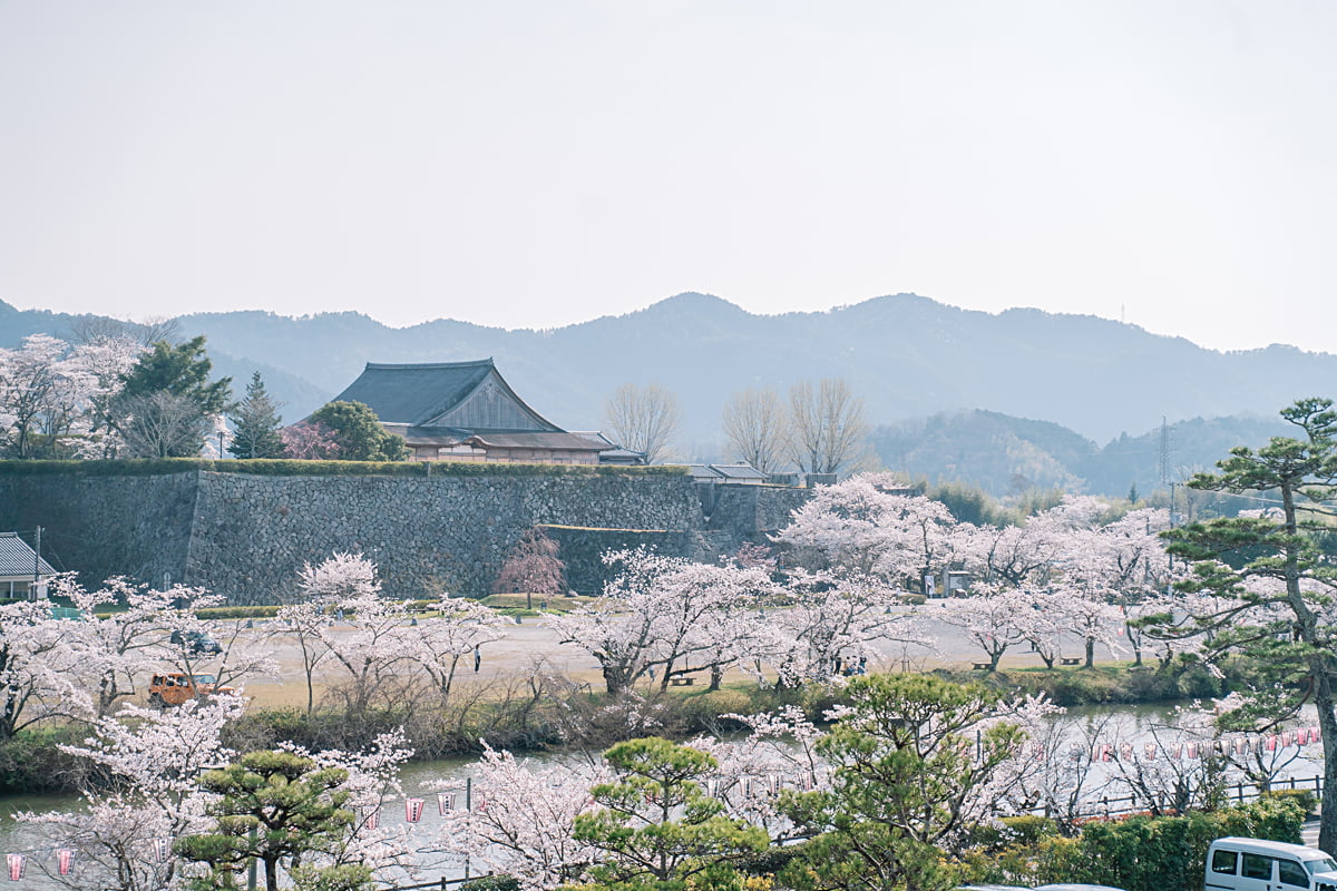 丹波篠山で桜×食べ歩き！ご当地グルメも楽しめる「さくらまつり」開催