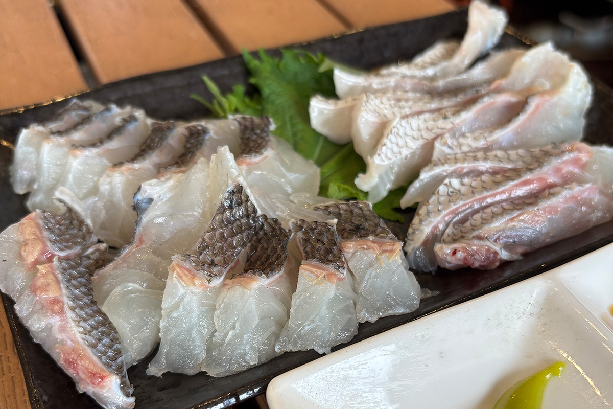 今だけ“桜鯛まつり”！泉南ロングパークに旬グルメ集結、海のマルシェが進化