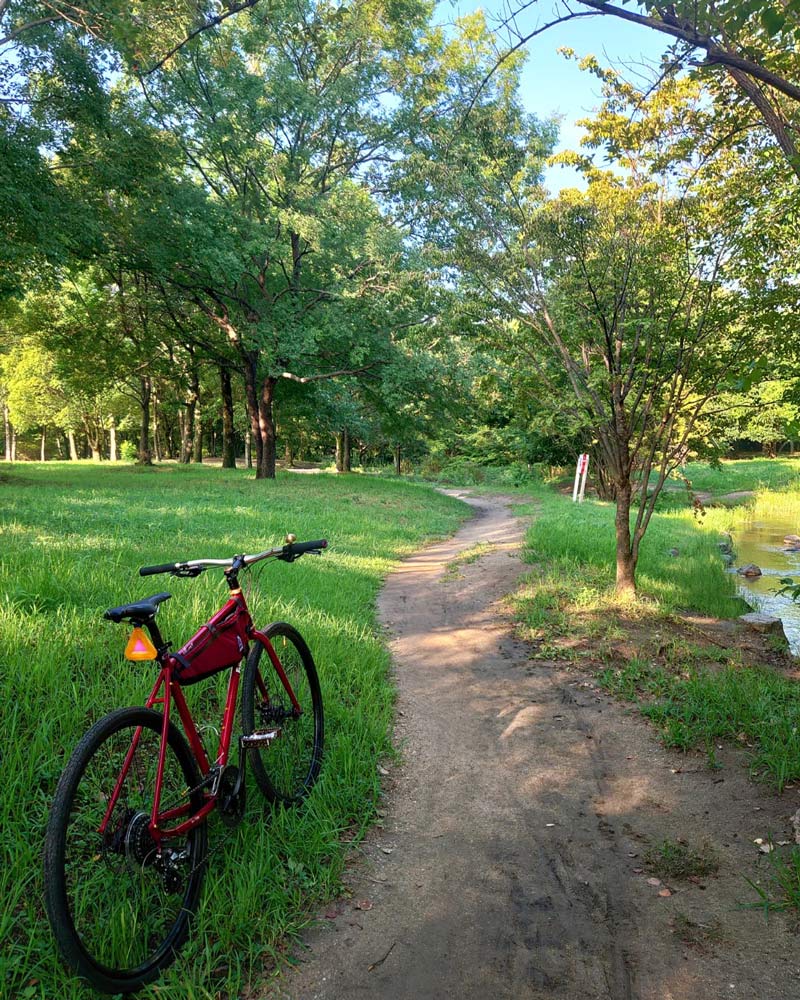 花博記念公園鶴見緑地と自転車