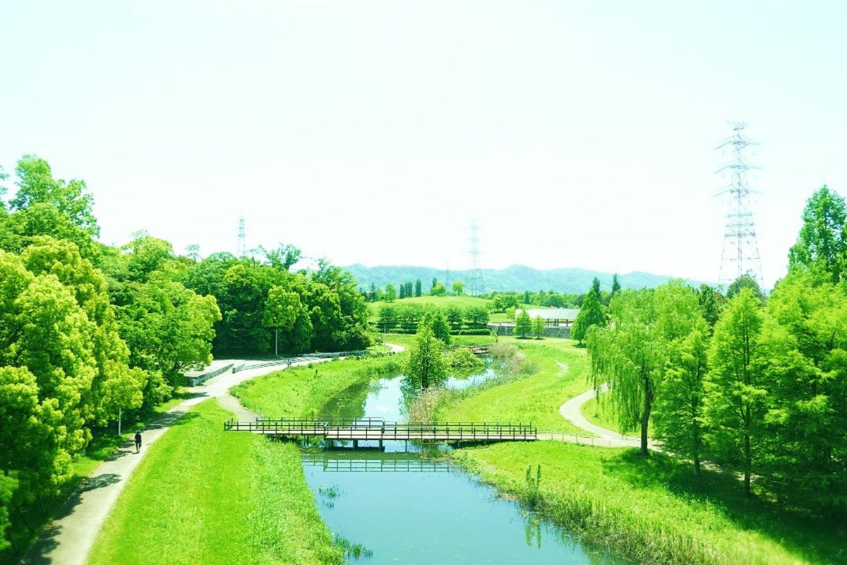山田池公園の川