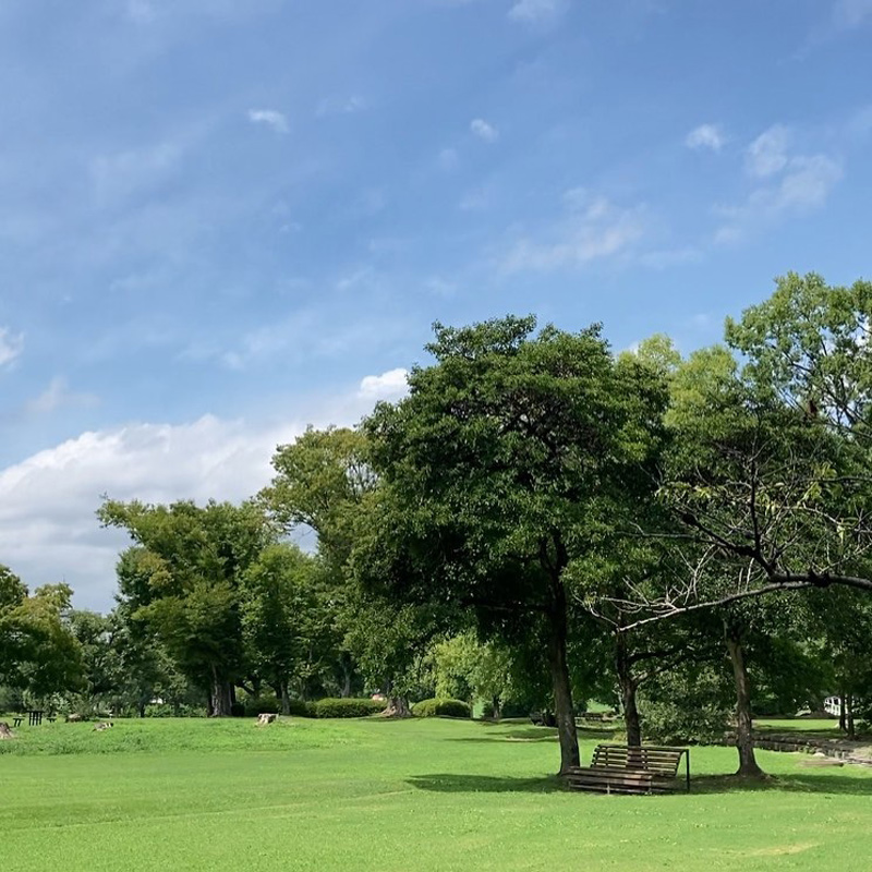 万博記念公園の芝生