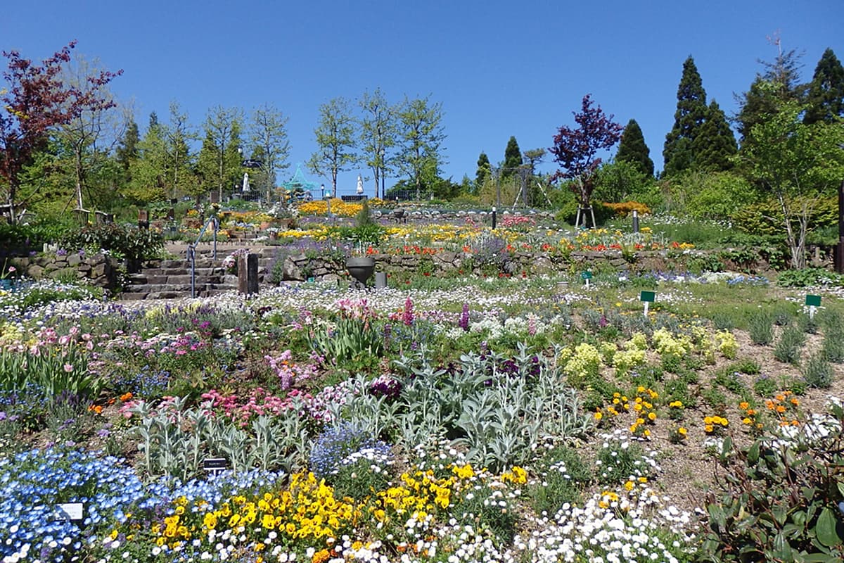 香りの庭の春の風景