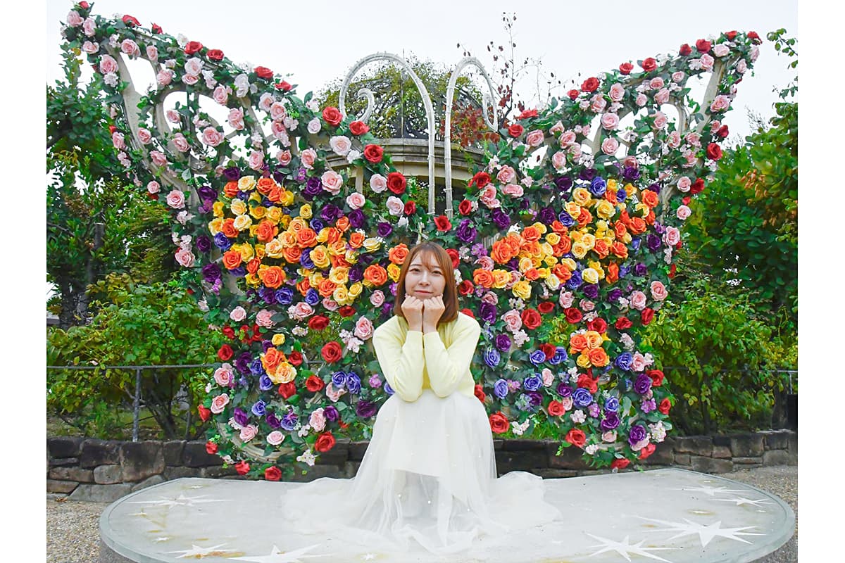 フォトスポットのバタフライ